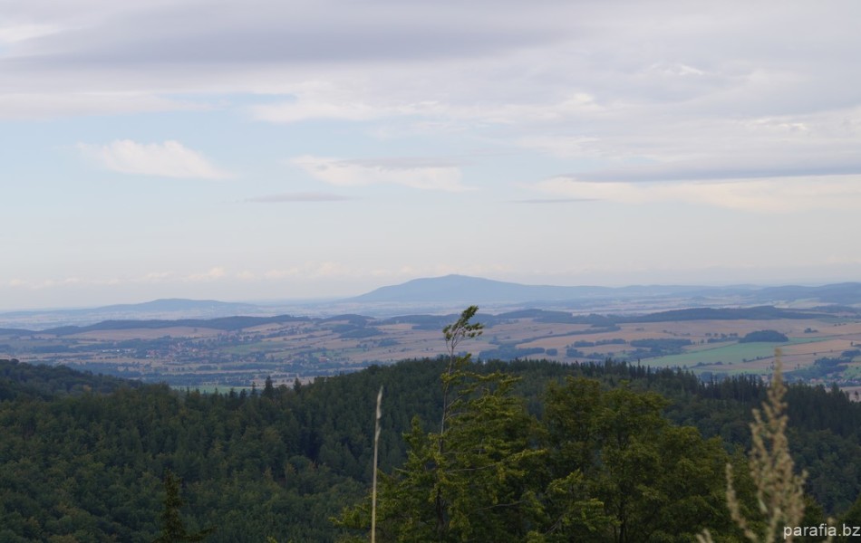 _DSC00569