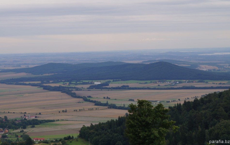 _DSC00572