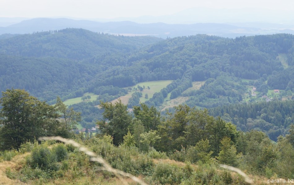 _DSC00577