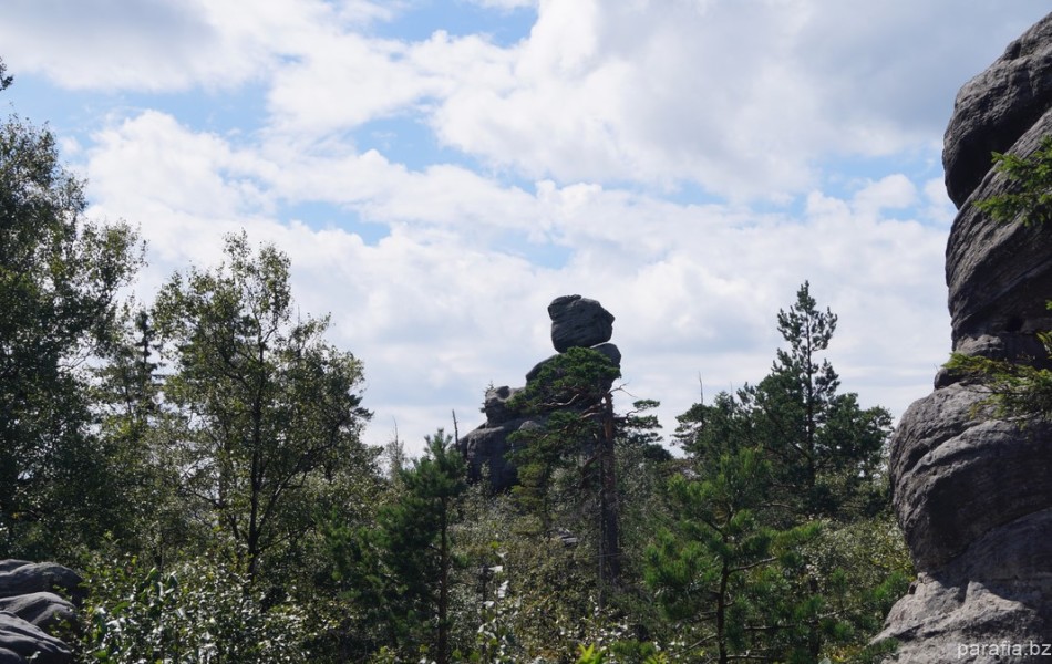 _DSC00736