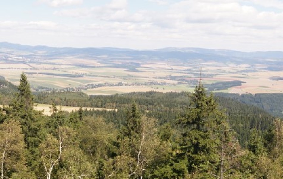 _DSC00742