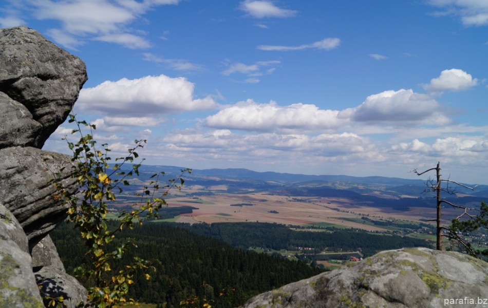 _DSC00747