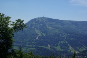 _IMGP6805