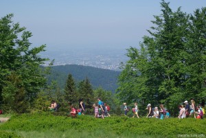 _IMGP6829