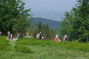 _IMGP6830