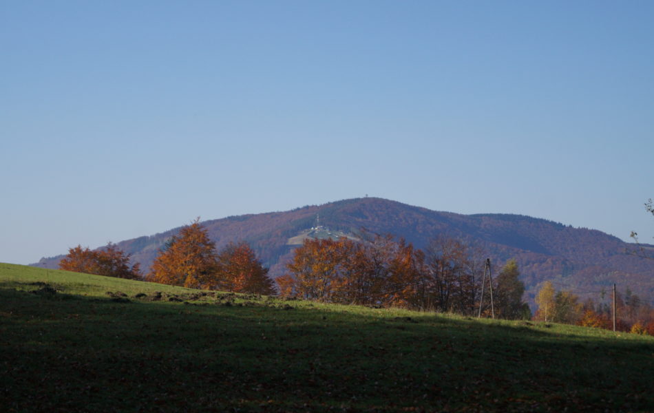 DSC06596