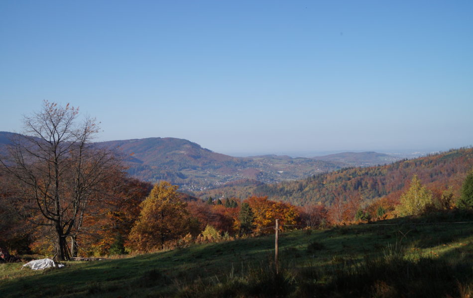DSC06600