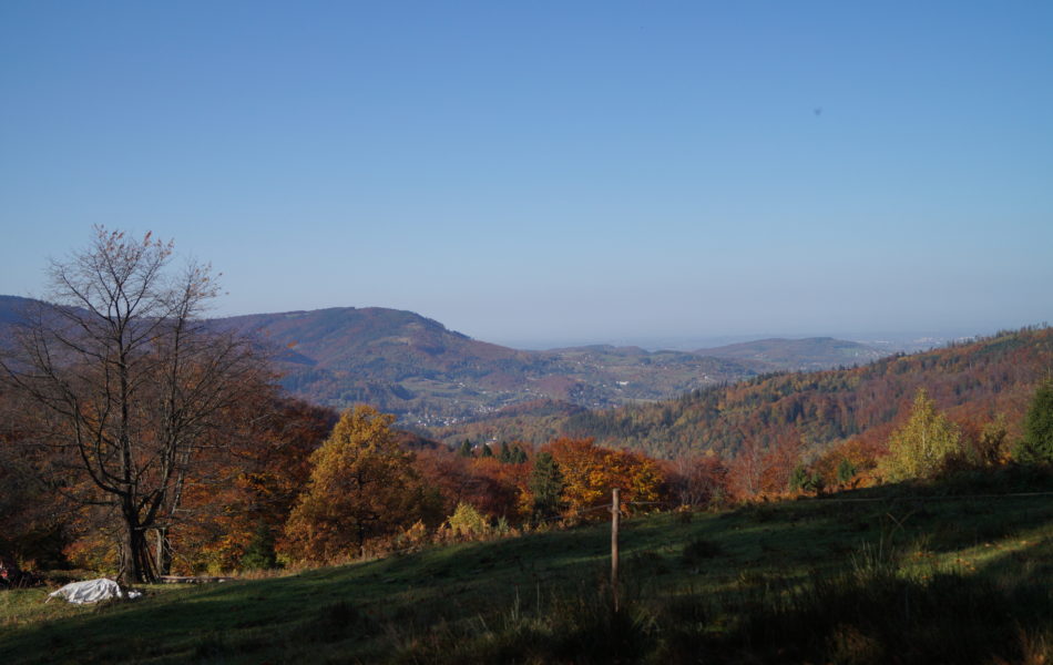 DSC06601