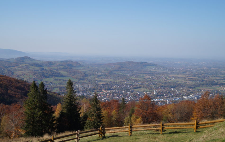 DSC06651