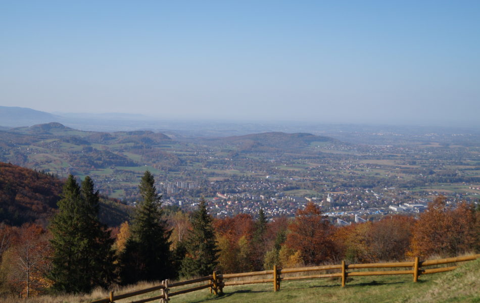 DSC06652