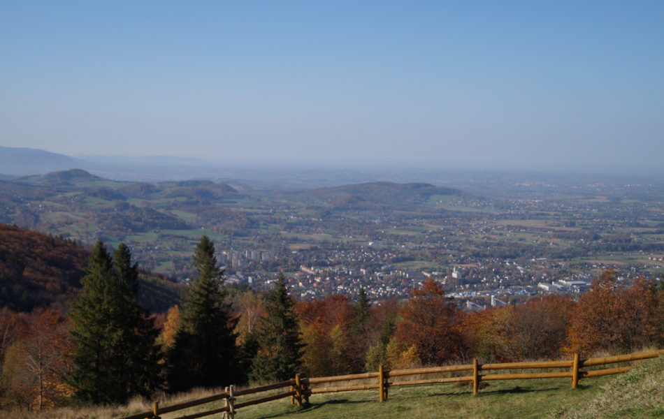 DSC06653