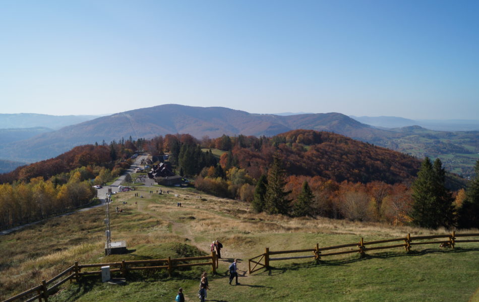 DSC06655