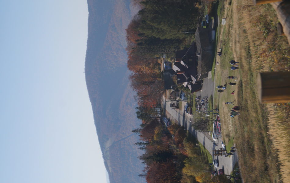 DSC06669