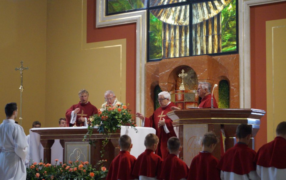 DSC08994 (Kopiowanie)