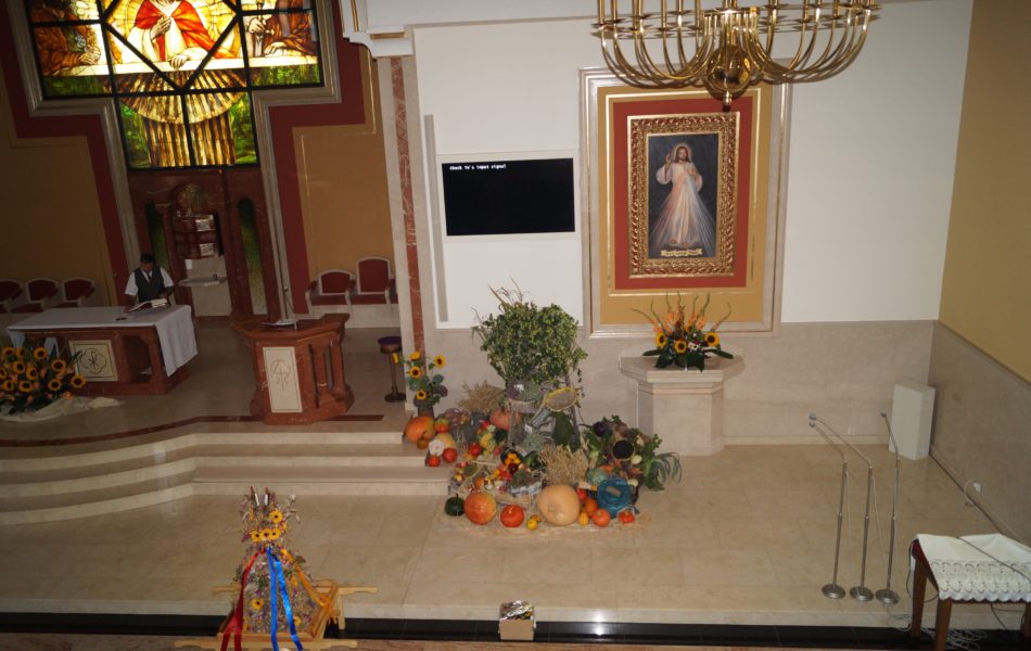 DSC09817