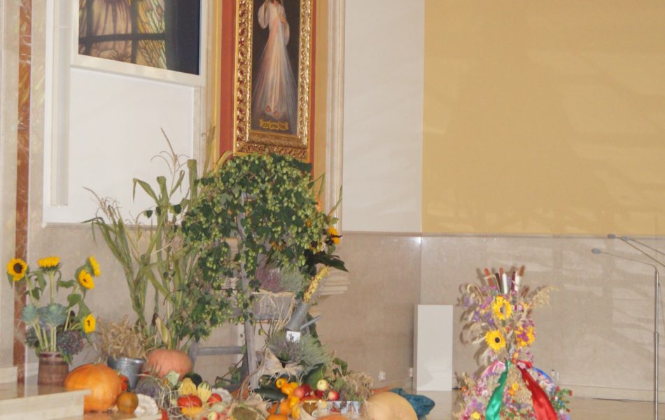 DSC09821